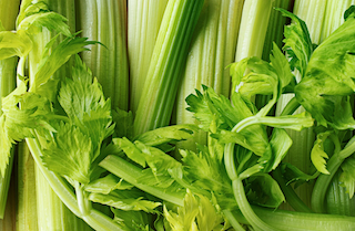 Celery(Apium graveolens)