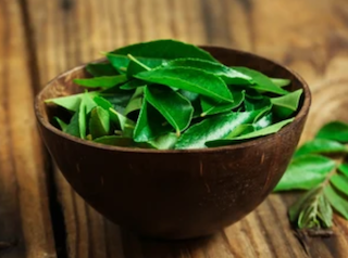 Curry Leaf Oil(Murraya koenigii (L.))